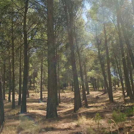 La Caseria Azul De Cuadros Casa rural