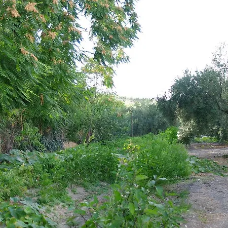 La Caseria Azul De Cuadros